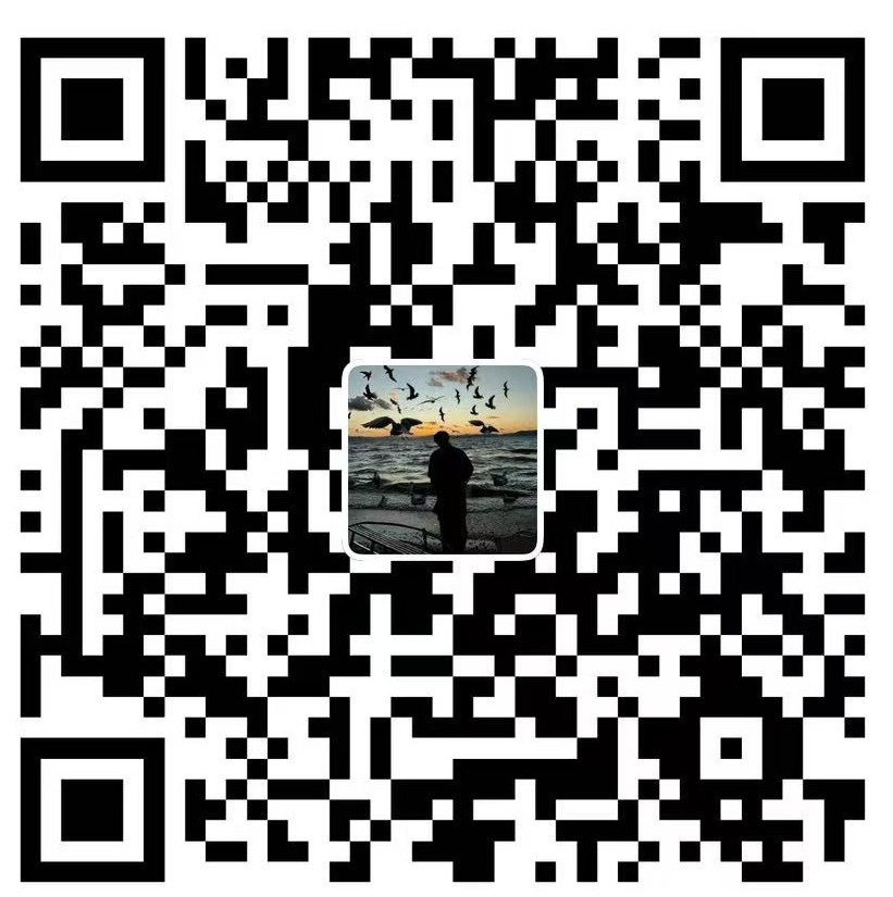 支持 OxiDNS 项目开发的支付宝收款码