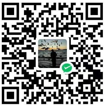 支持 OxiDNS 项目开发的微信支付收款码